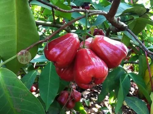 阳光沙滩海浪，海南假期秘境探秘之旅