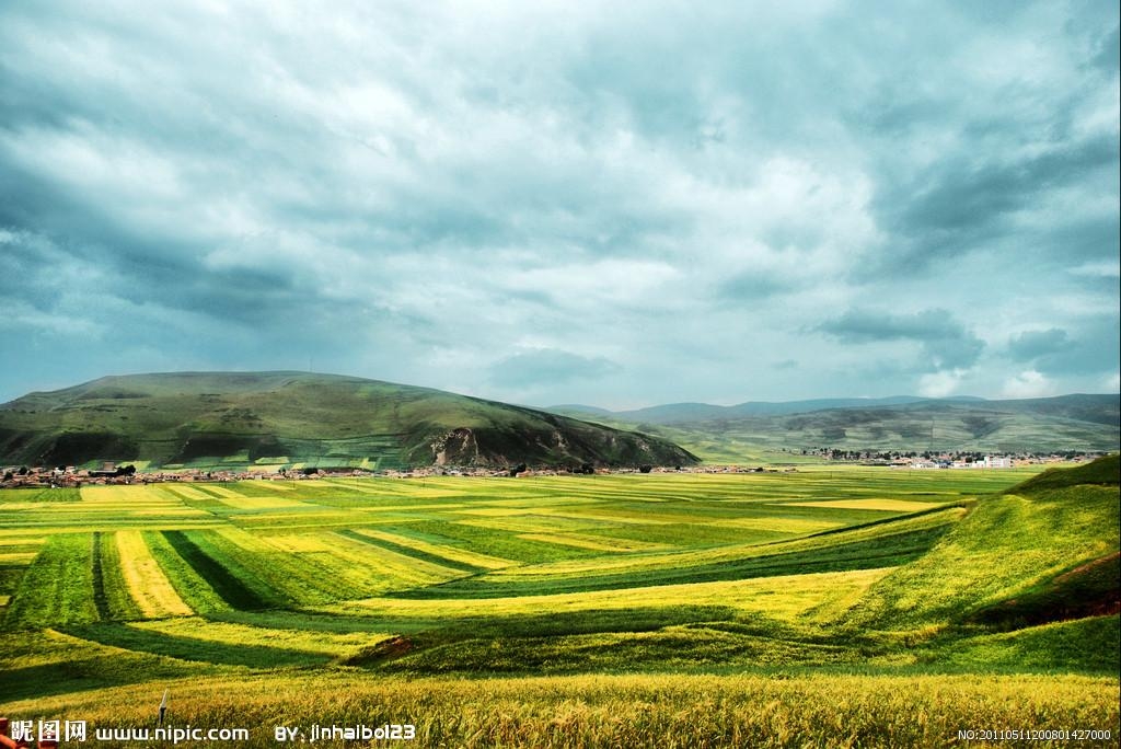 高原瑰宝，青海之韵